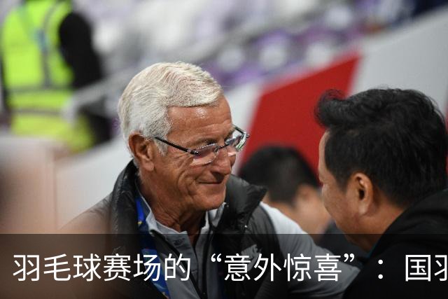 羽毛球赛场的“意外惊喜”：国羽艰难出局，热血拼搏依然在继续